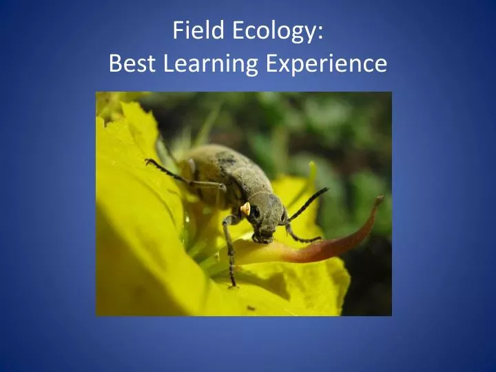 field ecology best learning experience