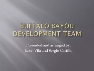 Buffalo Bayou Development Team