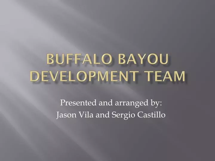 buffalo bayou development team