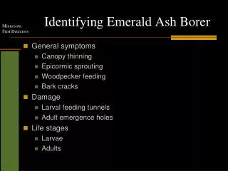 Identifying Emerald Ash Borer