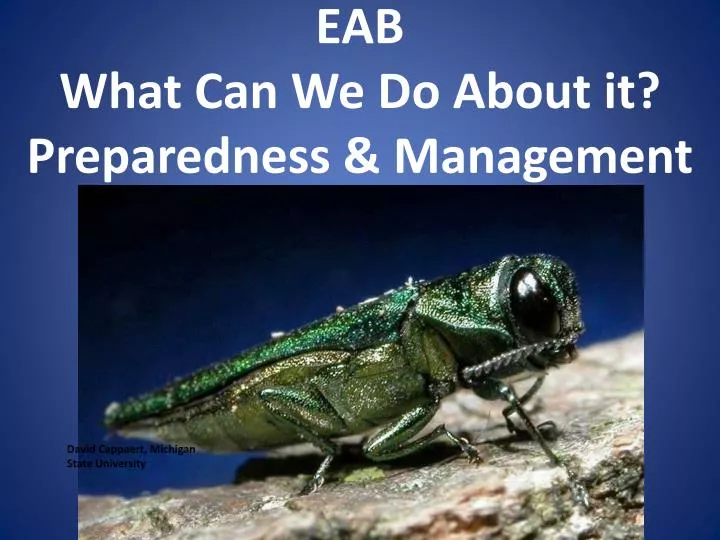 eab what can we do about it preparedness management