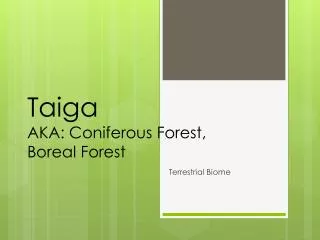 Taiga AKA: Coniferous Forest, Boreal Forest