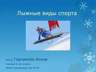 Лыжные виды спорта