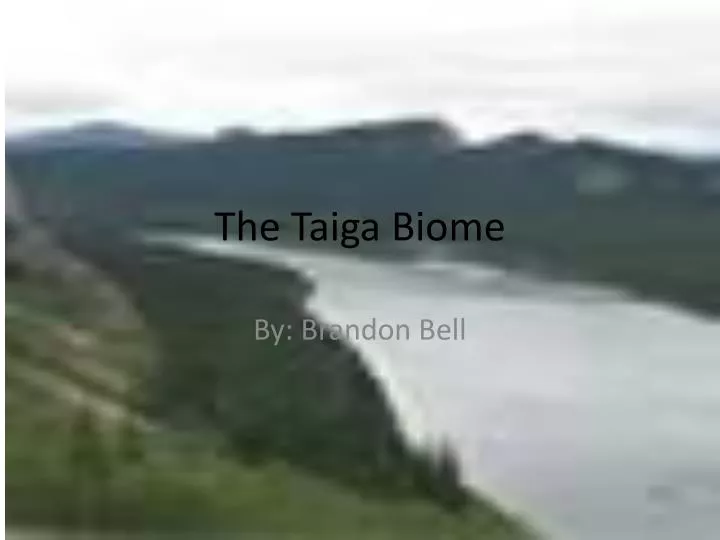 the taiga biome