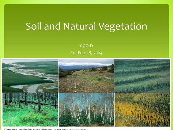 soil and natural vegetation