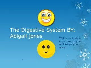 The Digestive System BY: Abigail jones