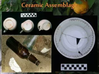 Ceramic Assemblage
