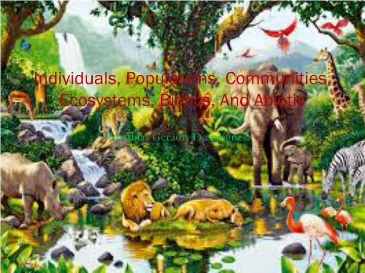 Individuals, Populations, Communities, Ecosystems, Biotics, And Abiotic