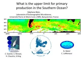 What is the upper limit for primary production in the Southern Ocean?
