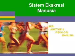 sistem ekskresi manusia