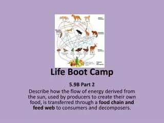 Life Boot Camp