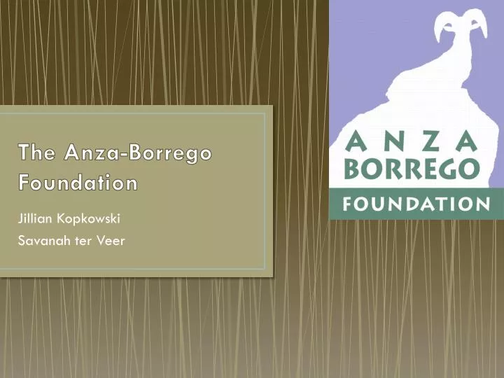 the anza borrego foundation