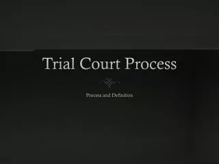 Trial Court Process