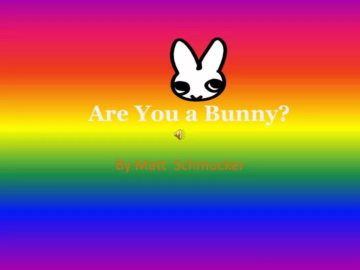 are you a bunny