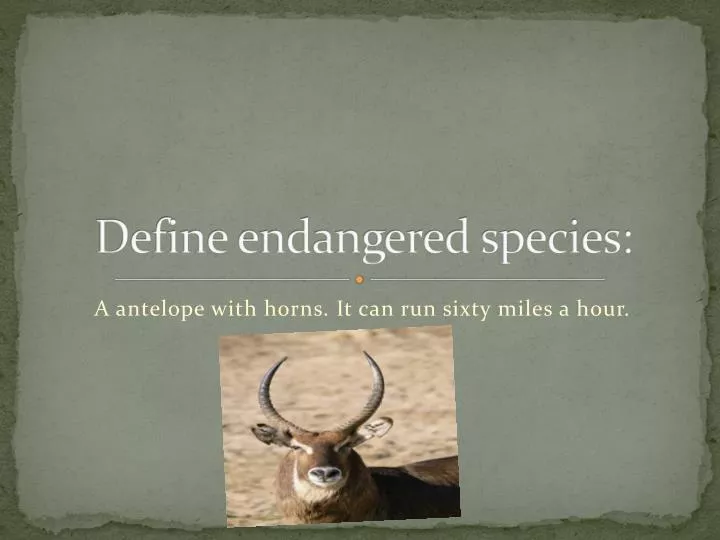 define endangered species