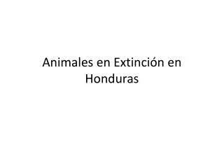 animales en extinci n en honduras