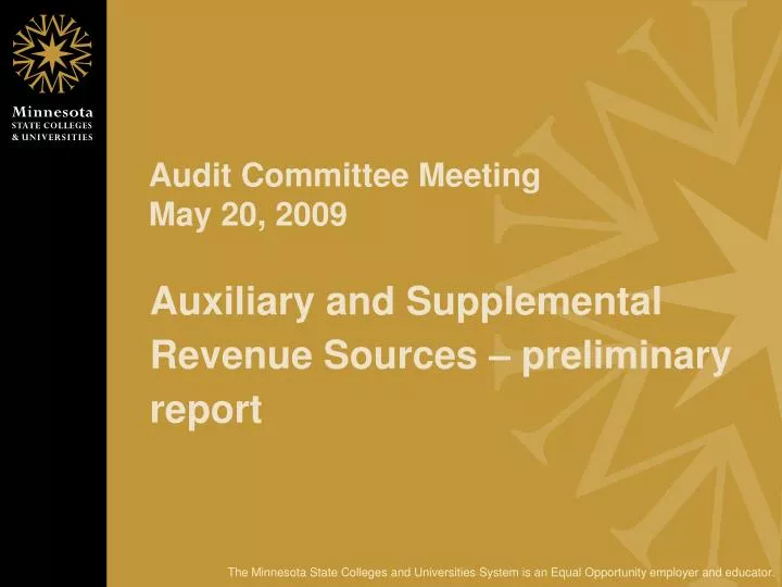 audit committee meeting may 20 2009