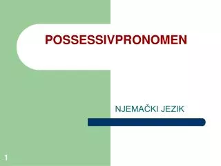 possessivpronomen