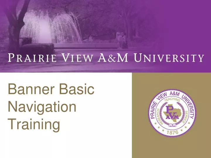 banner basic navigation training