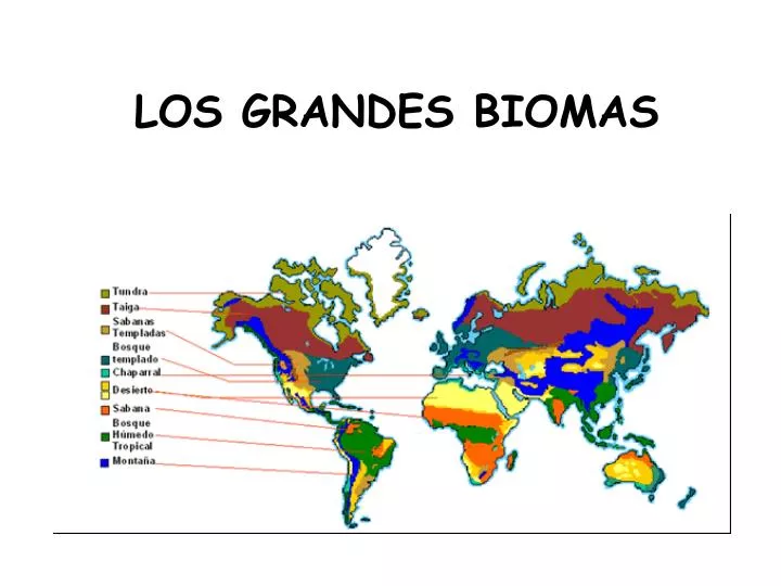 los grandes biomas