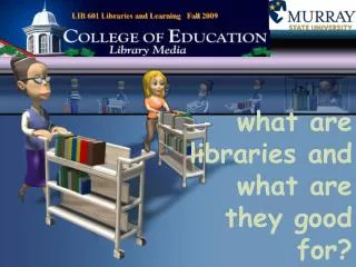 what are libraries and what are they good for?