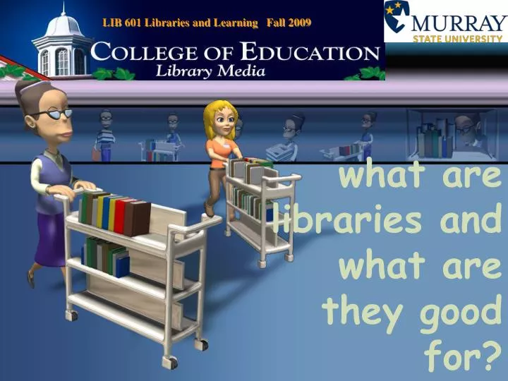 what are libraries and what are they good for