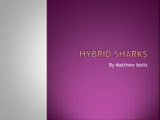Hybrid sharks