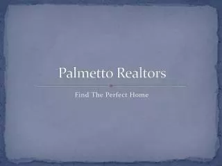 Palmetto Realtors