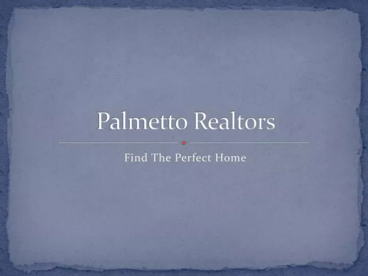 palmetto realtors