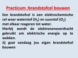 practicum brandstofcel bouwen