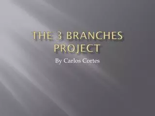 The 3 Branches Project