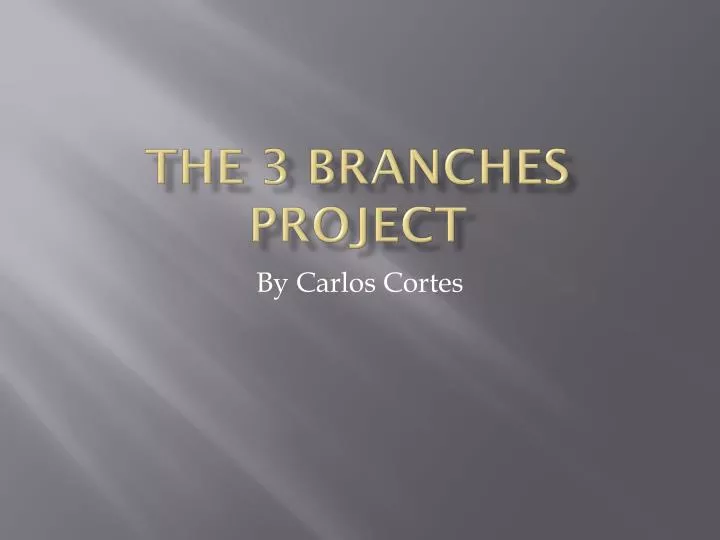 the 3 branches project