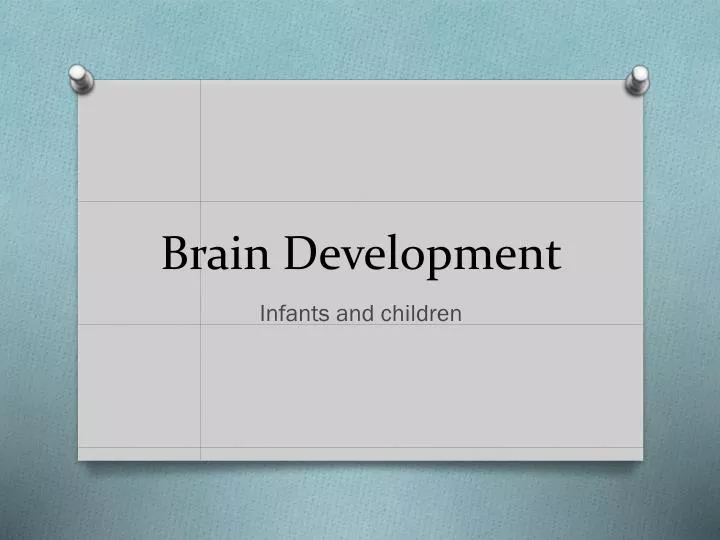 brain development