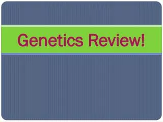 Genetics Review!