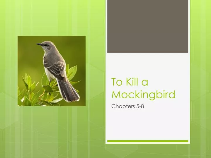 to kill a mockingbird