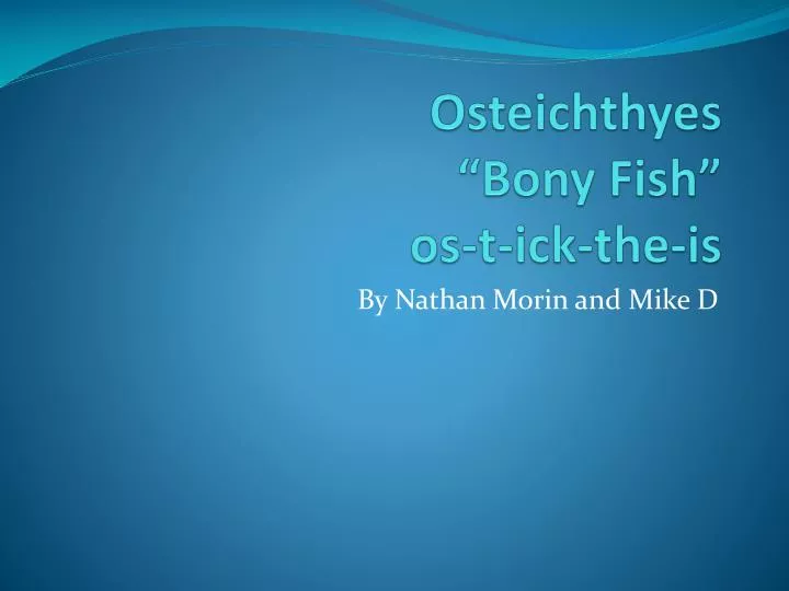 osteichthyes b ony fish os t ick the is