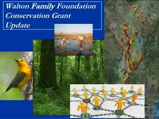 Walton Family Foundation Conservation Grant Update