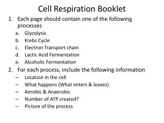 Cell Respiration Booklet