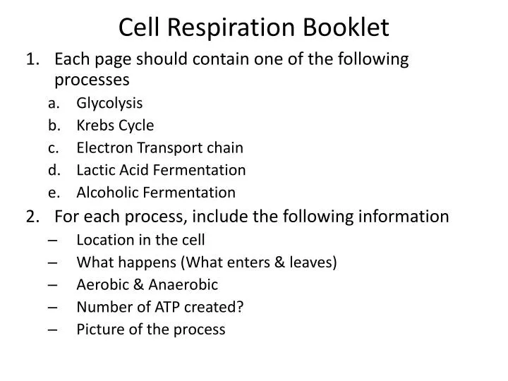 cell respiration booklet