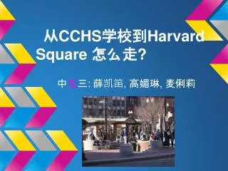 ?CCHS???Harvard Square ????