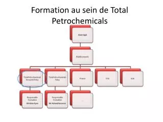 Formation au sein de Total Petrochemicals