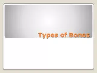 Types of Bones