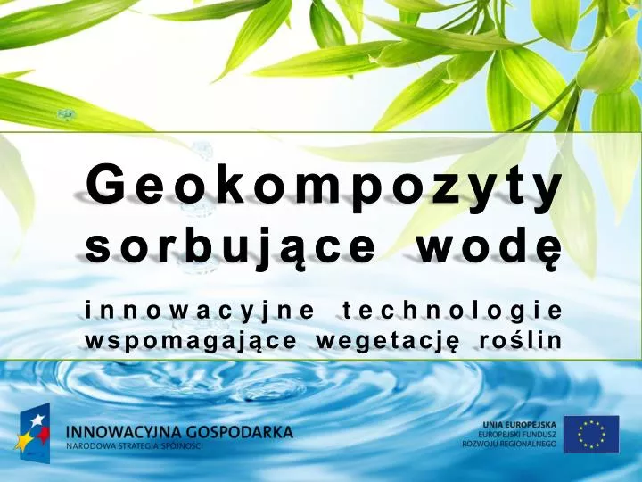 geokompozyty sorbuj ce wod innowacyjne technologie wspomagaj ce wegetacj ro lin