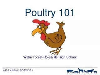 Poultry 101