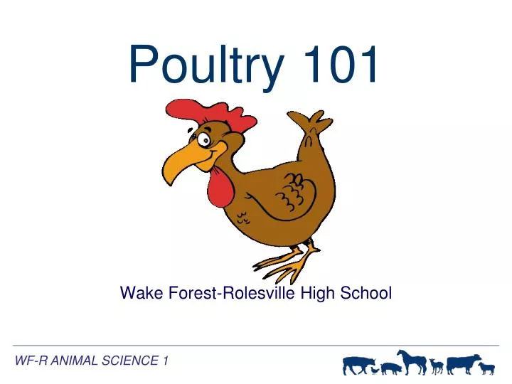 poultry 101