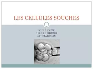 les cellules souches