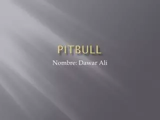 pitbull