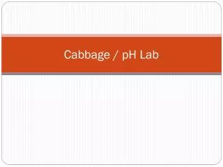 Cabbage / pH Lab