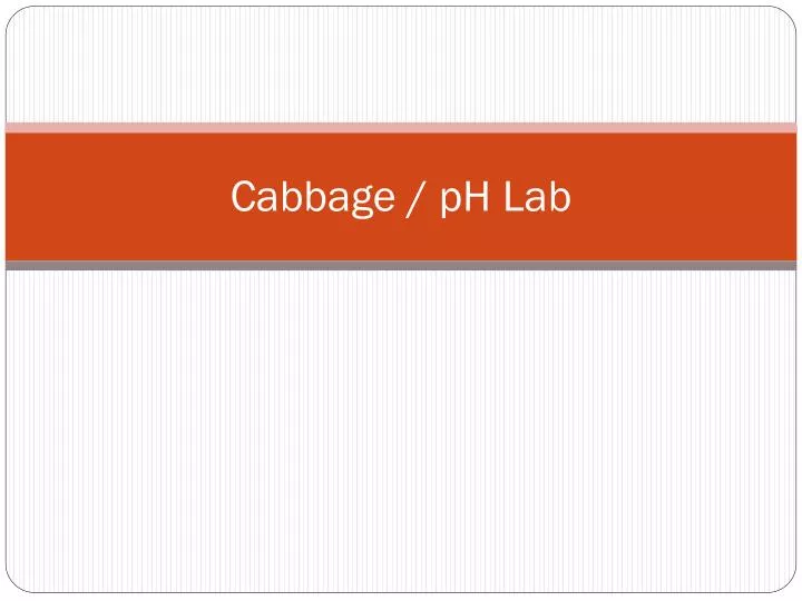 cabbage ph lab