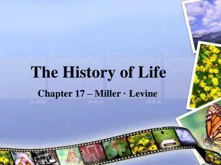 the history of life